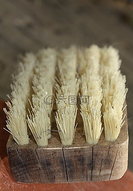 畫筆,毛,清潔