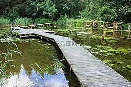 waterloop,水,沼澤