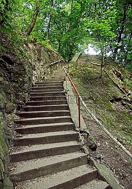 樓梯,林,夏