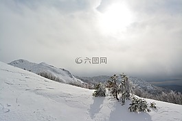 雪,景觀,太陽