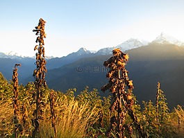 日出,山,丘陵
