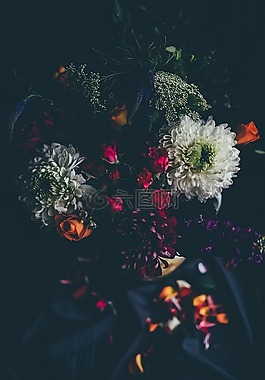 花,自然,開花