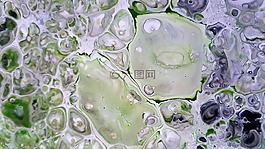 流體的畫,圖稿,抽象繪畫