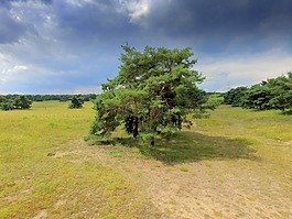 无人驾驶飞机,quadcopter,quadrocopter