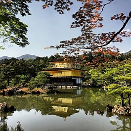 京都,日本,goldentemple
