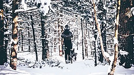雪,冬天,白