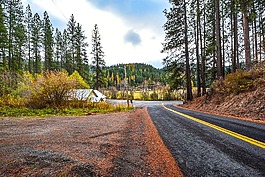 农村公路,树,农村