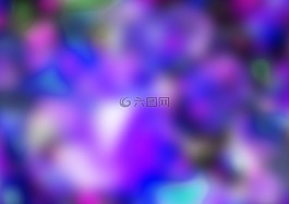 花,模式,課程