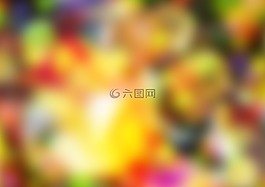 花,模式,課程