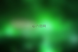 花,模式,課程