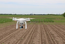 雄蜂,無人機,飛機