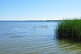 plauer 看看,水,性質(zhì)