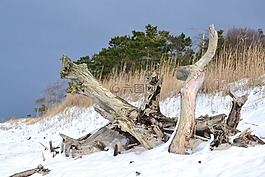 冬天,性質(zhì),海灘