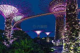 新加坡,夜,架構(gòu)