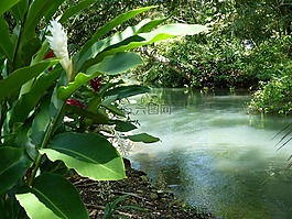 河,牙買(mǎi)加,綠色