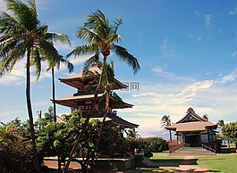 寶塔,佛教,廟