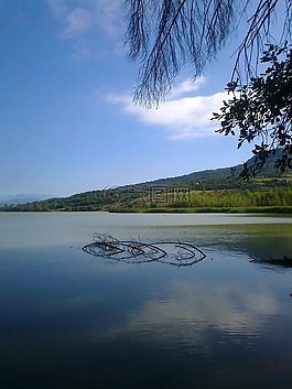 湖,水,自然