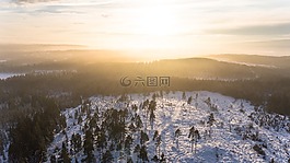 太陽(yáng),光明,森林
