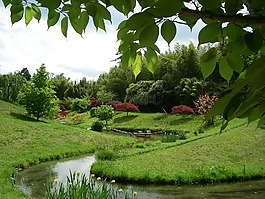 日本庭園,花園,法國(guó)南部竹