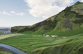 冰島,綠色,草
