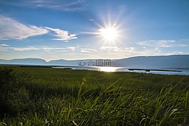 性質(zhì),景觀,夏季