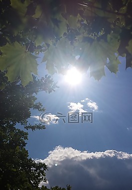 景觀,太陽,云