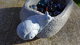 蝸牛,蜜蜂,藥水