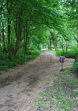 離,公園,森林路徑