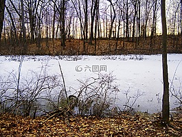 冬天,日落,景觀