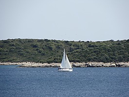 帆艇,船,船舶