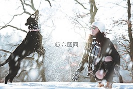 雪,冬天,白