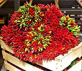 辣椒,香料,胡椒