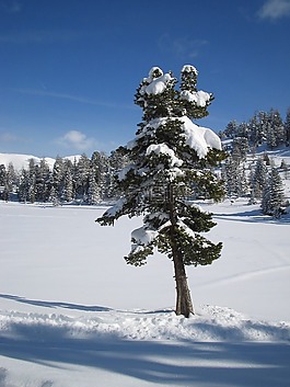 雪,湖,冬天