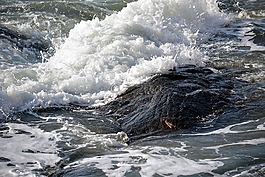 波,海,海洋