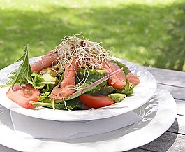 食品,蔬菜,板
