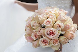 花,白,花瓣