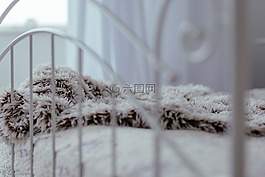 床,房間,鋼