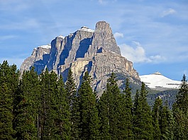 山,森林,高峰