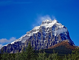 山,森林,高峰