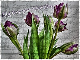 生日,鮮花,生日快樂