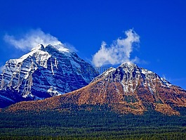 山,森林,高峰