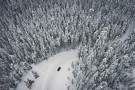 雪,冬天,白