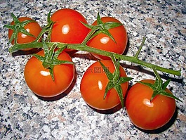 蕃茄,蔬菜,食品