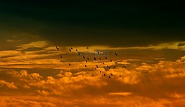 日落,天空,云