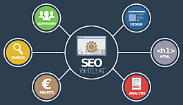 seo,在線分析,社區(qū)經(jīng)理