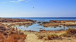 海灘,科夫,海岸
