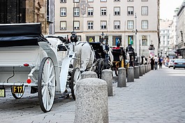 出租車,購(gòu)物車,馬