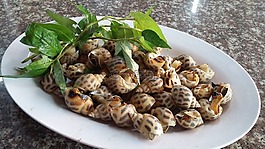 蜗牛,香,蒸