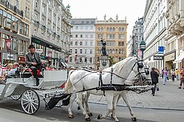 出租車,購(gòu)物車,馬