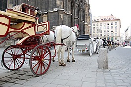 出租車,購(gòu)物車,馬